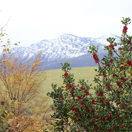 Silver Birch House Laune Bridge