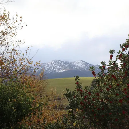 Silver Birch House Laune Bridge