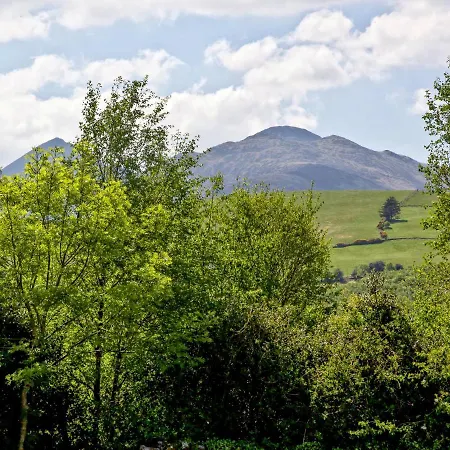 Ferienhaus Silver Birch House, Killarney *