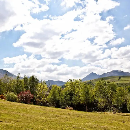 Silver Birch House Holiday home *