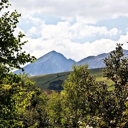 Silver Birch House, Killarney *