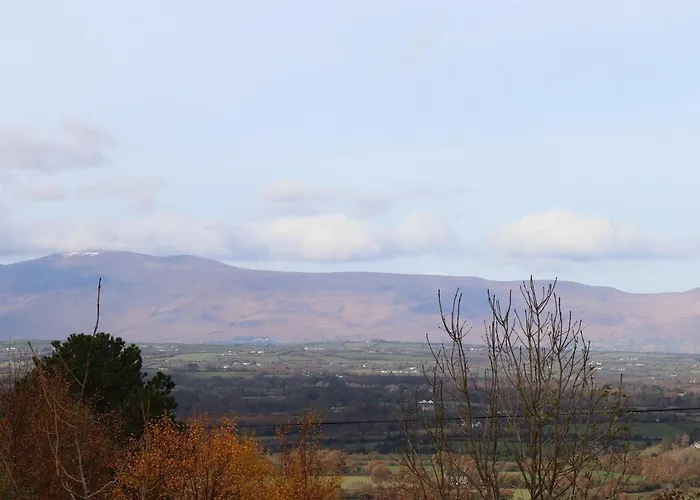 Дом отдыха Silver Birch House *