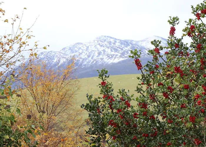 Silver Birch House Laune Bridge