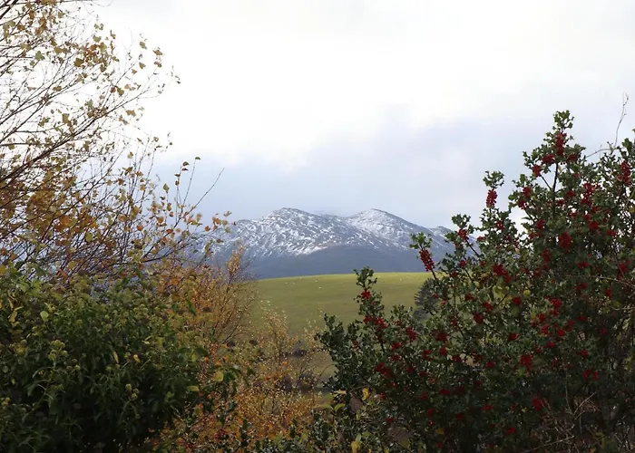Silver Birch House Laune Bridge