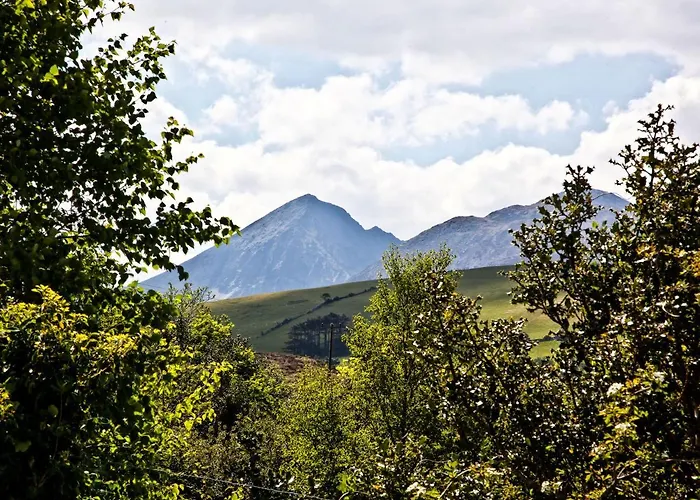 Silver Birch House *