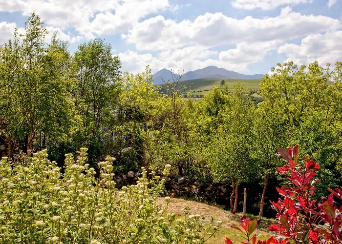 Silver Birch House Tatil Evi *