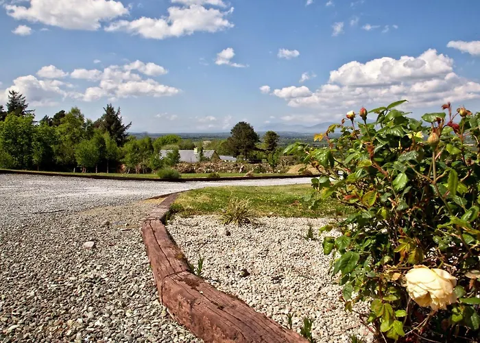 Tatil Evi Silver Birch House