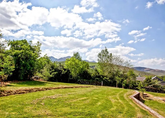 Tatil Evi Silver Birch House *