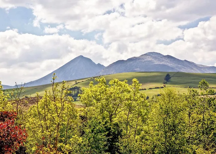 Silver Birch House Laune Bridge
